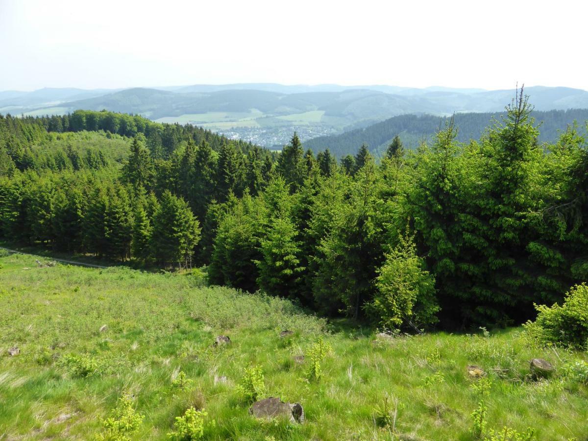Kueken Winterberg Apartment Екстериор снимка
